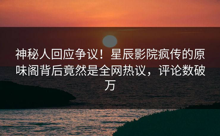 神秘人回应争议！星辰影院疯传的原味阁背后竟然是全网热议，评论数破万