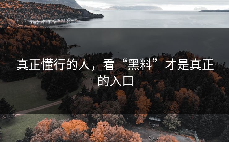 真正懂行的人，看“黑料”才是真正的入口